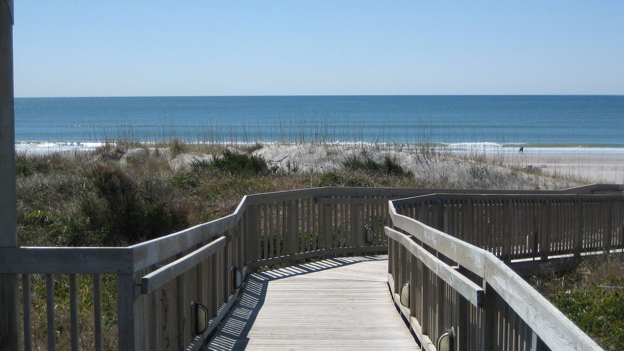 Photo of Others in Morehead City