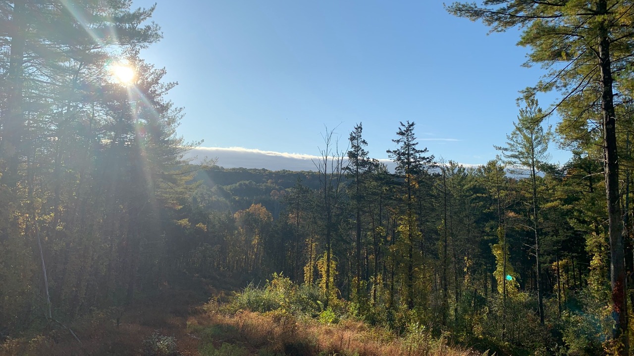 Photo of Others in Catskill
