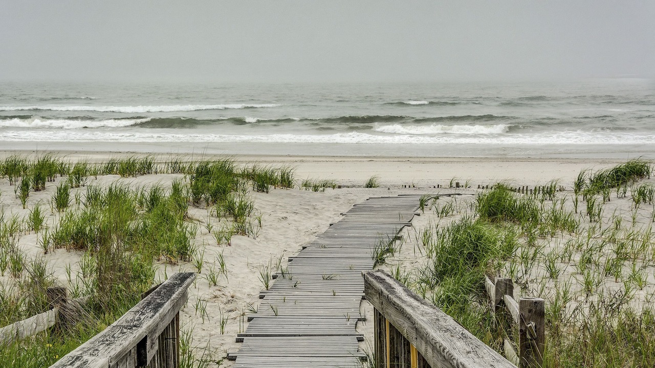 Photo of Others in Brigantine