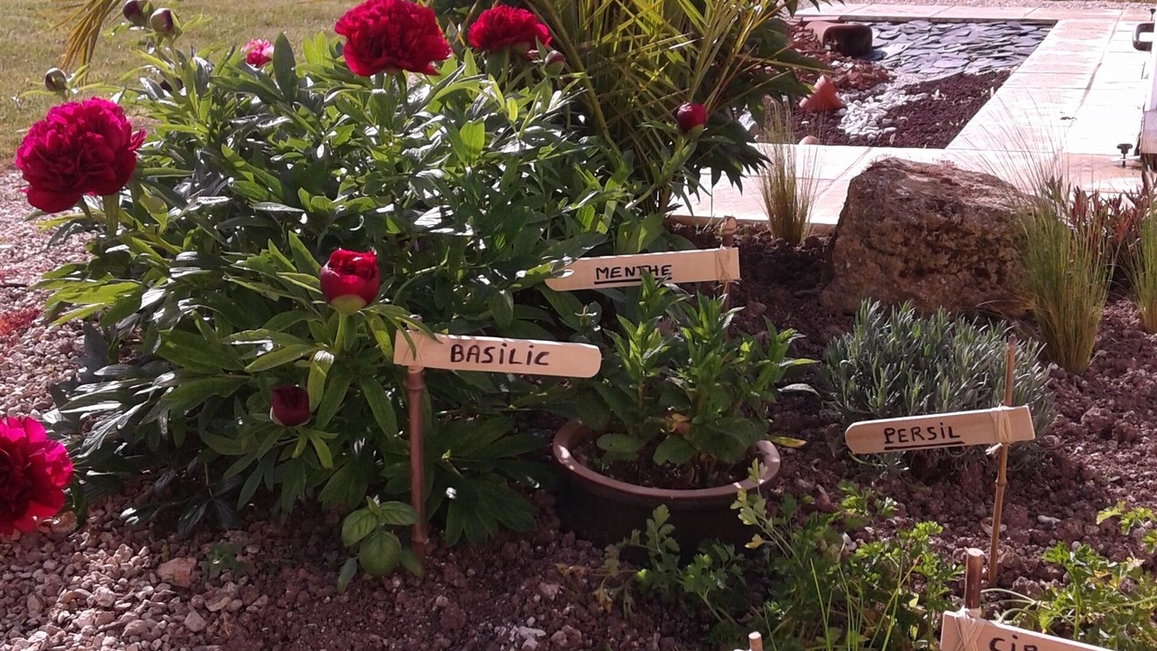 Photo of Outdoor in Sublaines