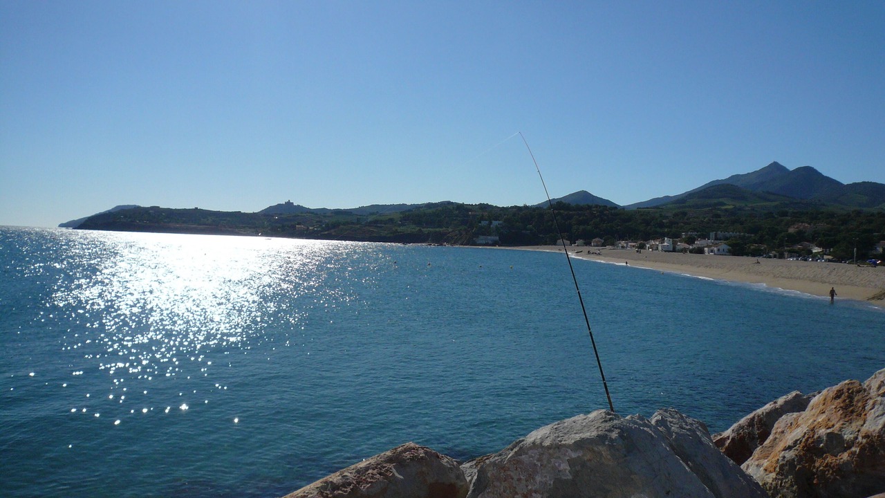 Photo of Others in Argeles-sur-Mer