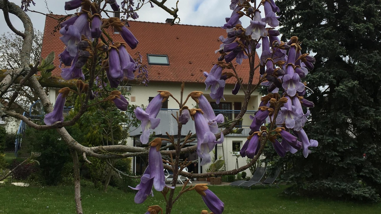 Photo of Outdoor in Kutzenhausen