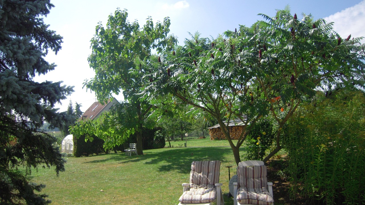 Photo of Outdoor in Kutzenhausen