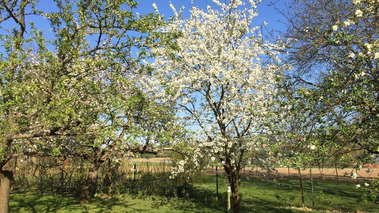 Photo of Outdoor in Kutzenhausen