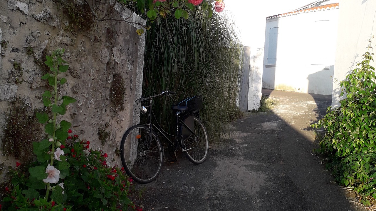 Photo of Outdoor in Ile d'Yeu