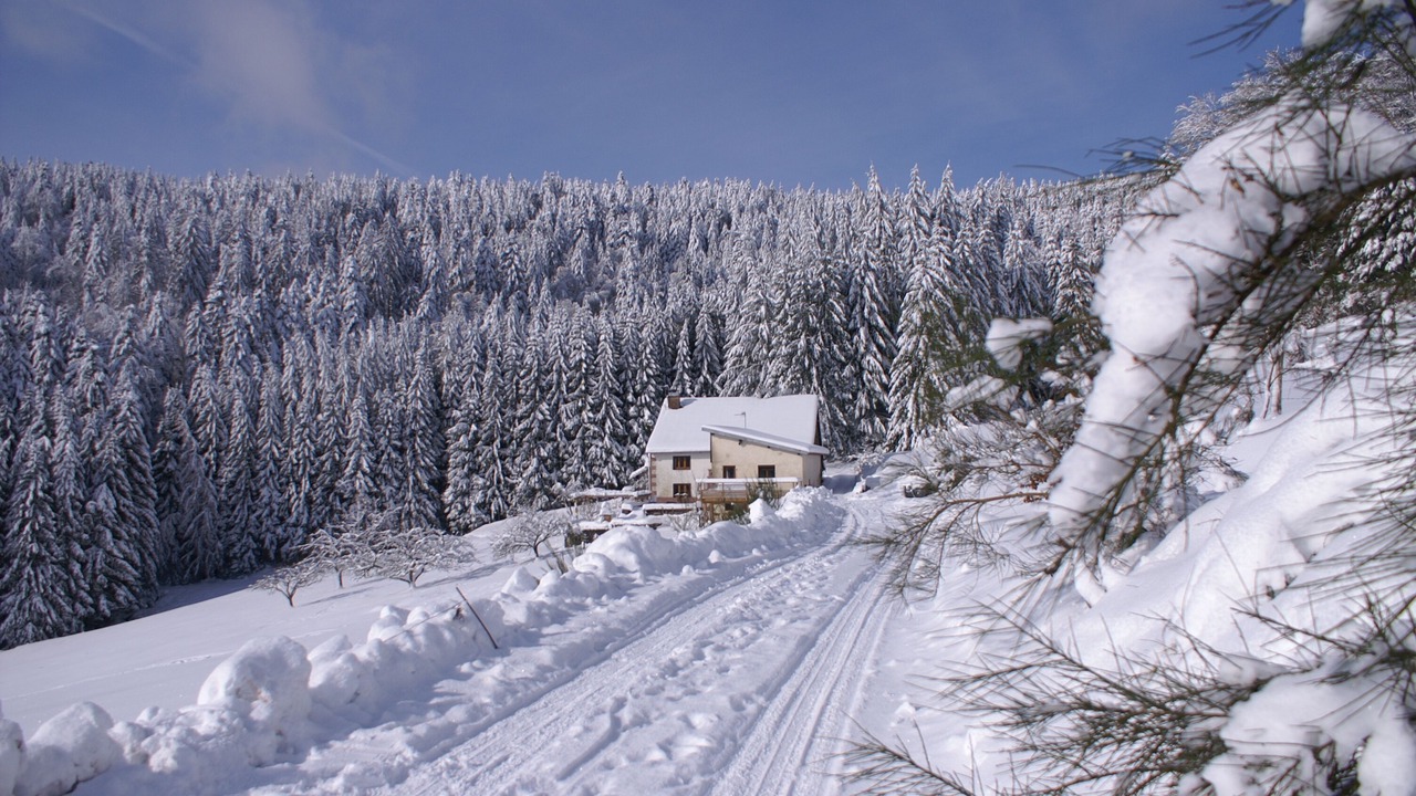 Photo of Others in Cleurie
