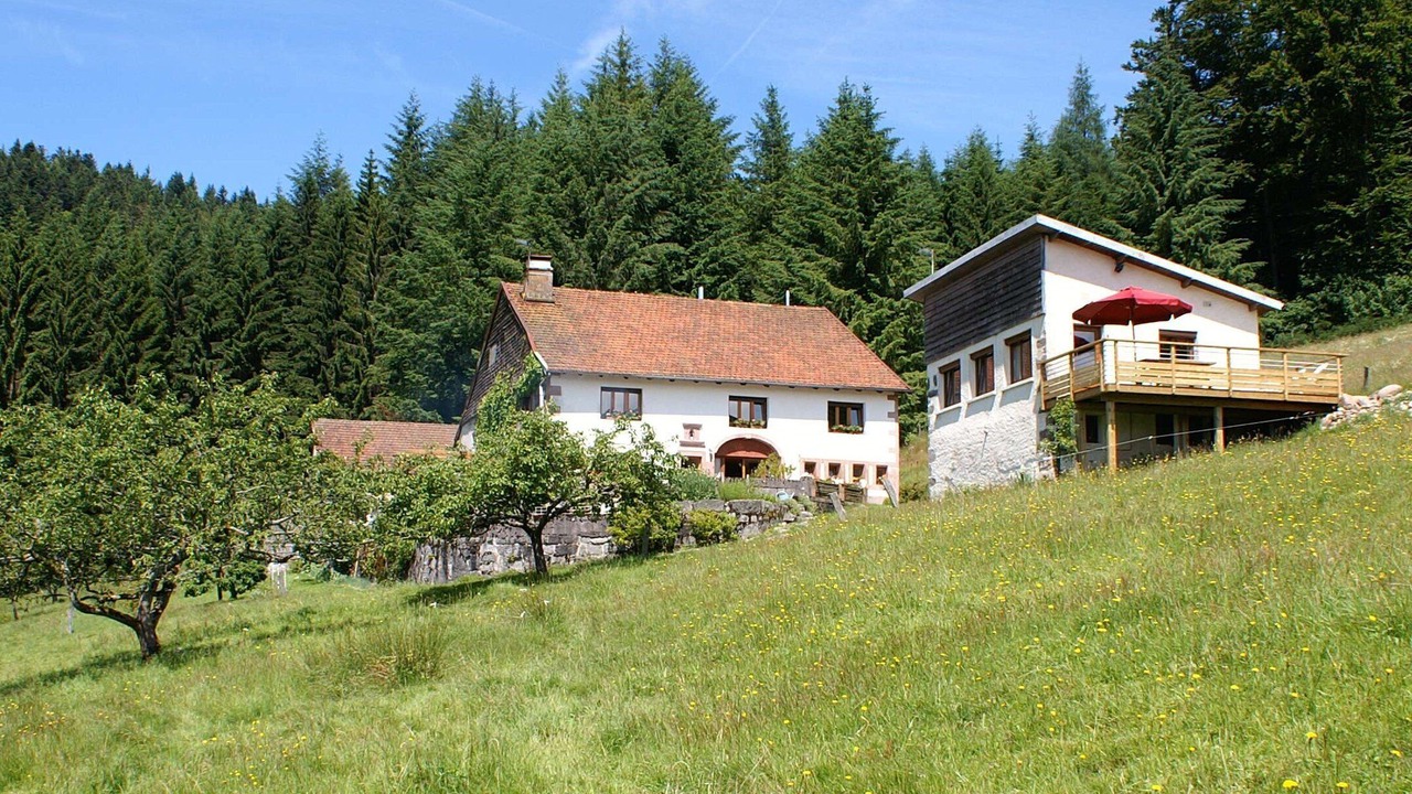 Photo of Outdoor in Cleurie