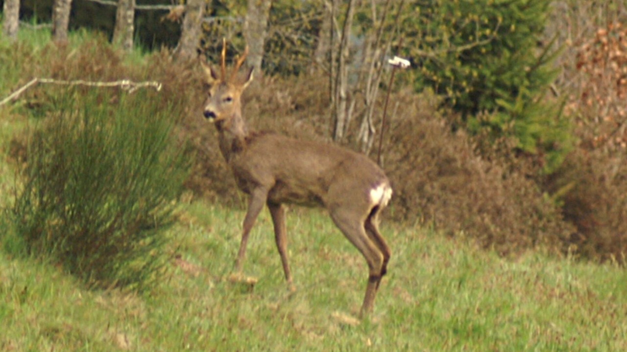 Photo of Outdoor in Cleurie