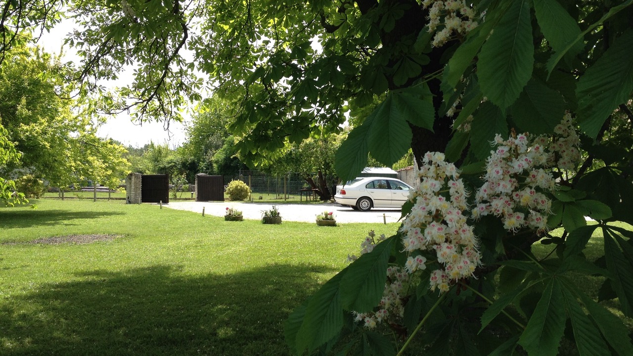 Photo of Outdoor in Saint-Sever-de-Saintonge