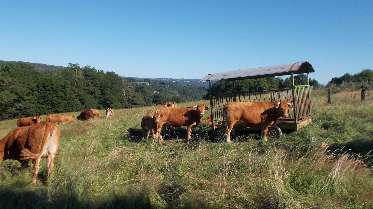 Photo of Outdoor in Sainte-Fereole