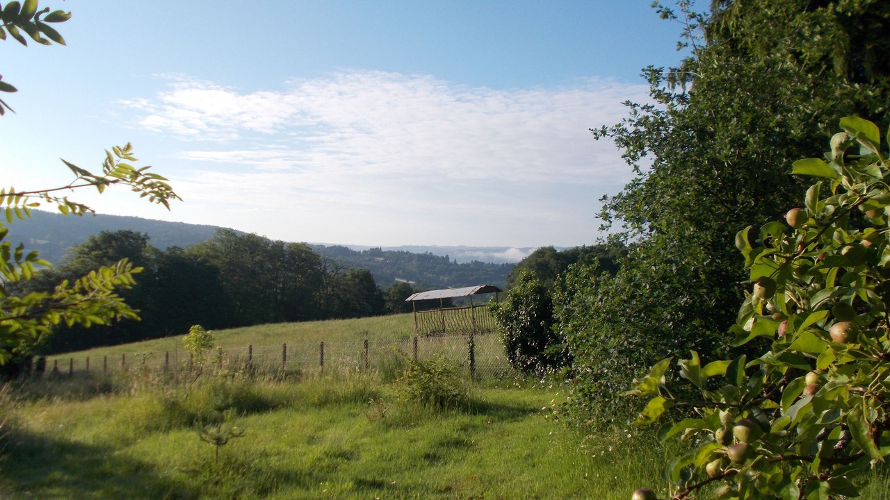 Photo of Outdoor in Sainte-Fereole