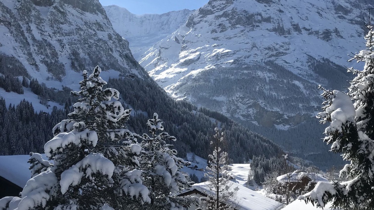 Photo of Others in Grindelwald