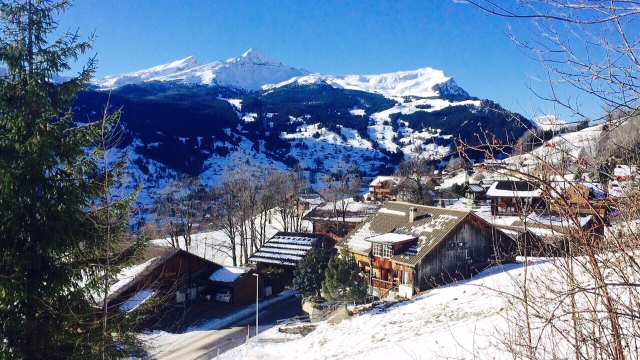 Photo of Outdoor in Grindelwald