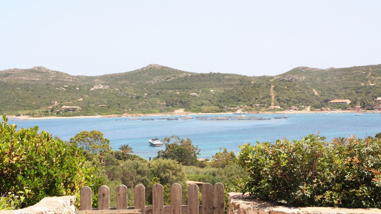 Photo of Others in Bonifacio