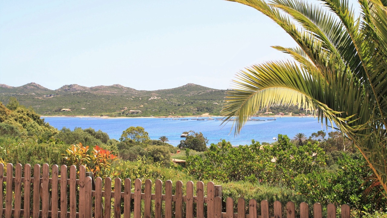 Photo of Others in Bonifacio