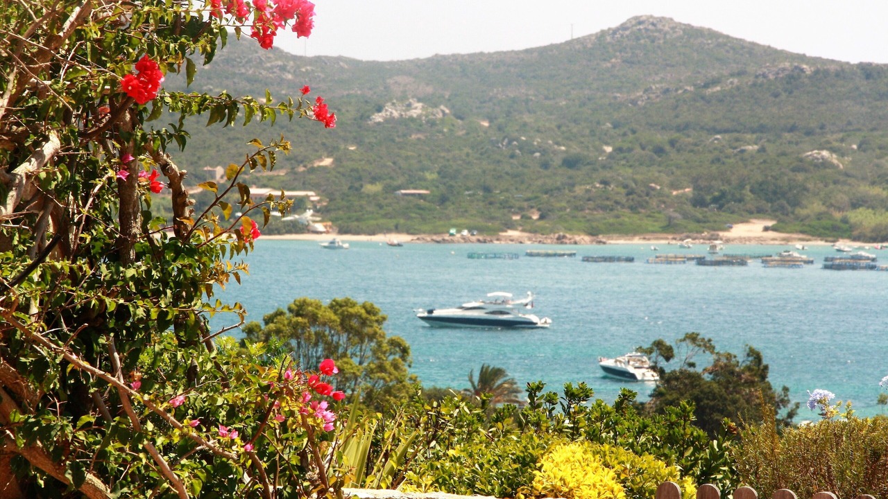 Photo of Others in Bonifacio