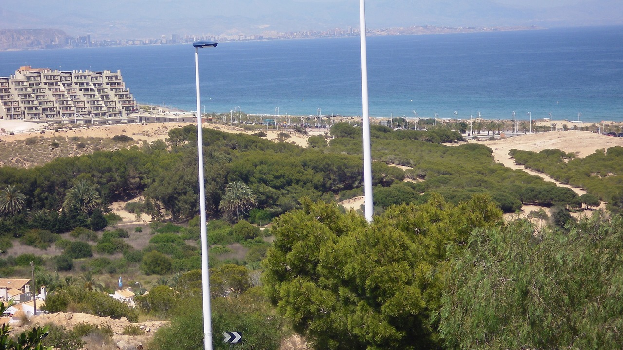 Photo of Others in Los Arenales del Sol