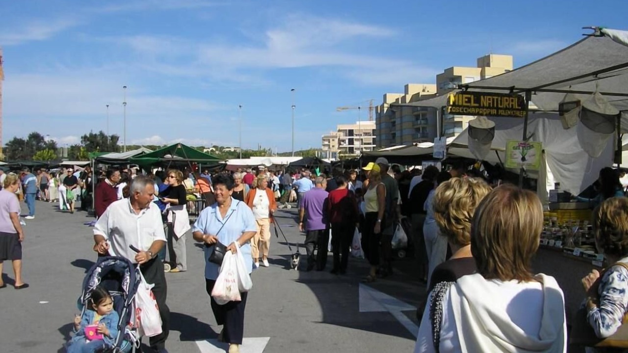 Photo of Others in Los Arenales del Sol