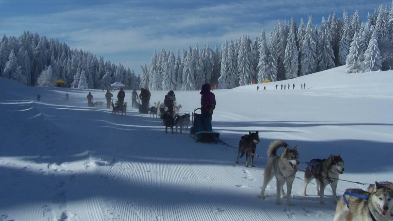 Photo of Others in Pugny-Chatenod