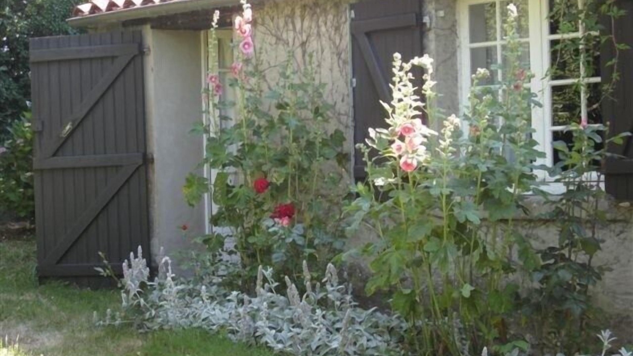 Photo of Outdoor in Poiroux