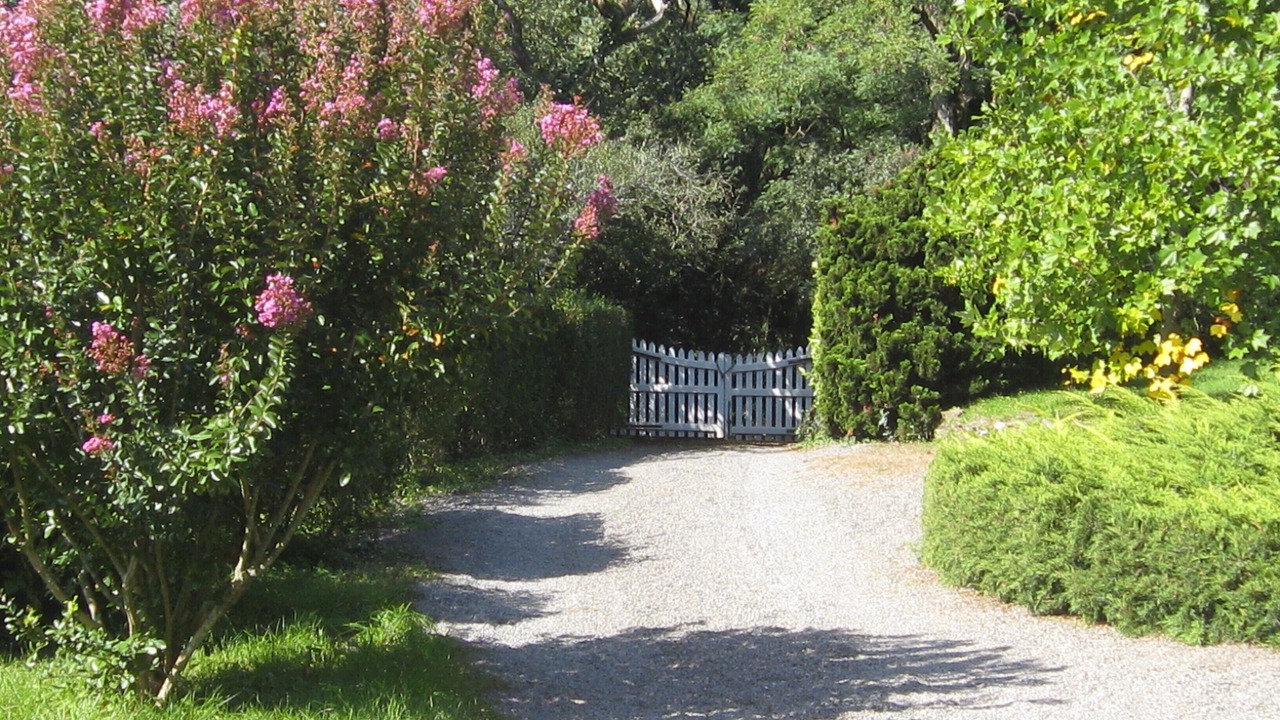 Photo of Outdoor in Poiroux