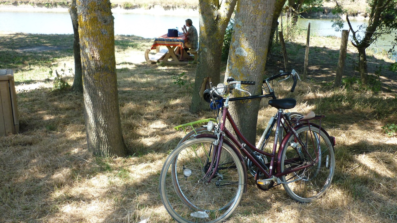 Photo of Others in Saint-Vincent-sur-Graon