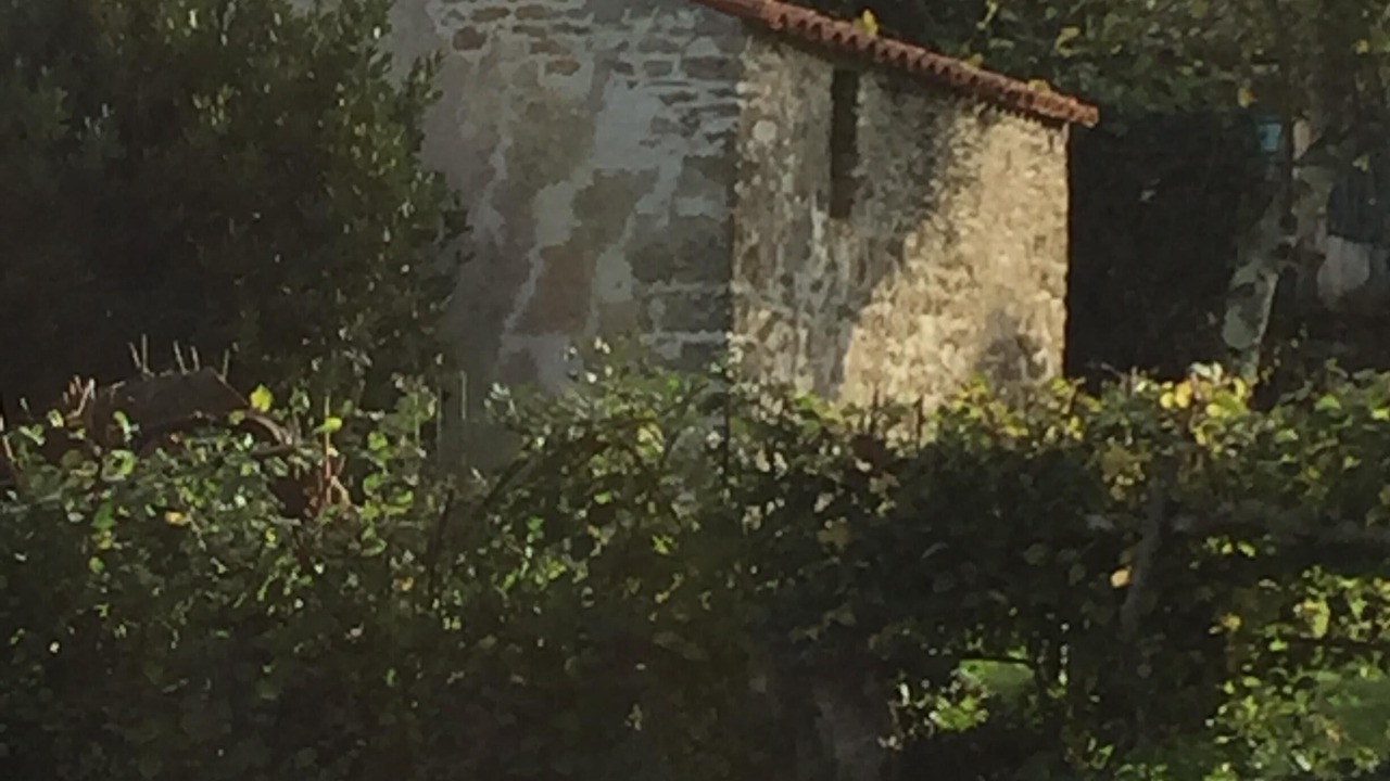 Photo of Others in Saint-Vincent-sur-Graon