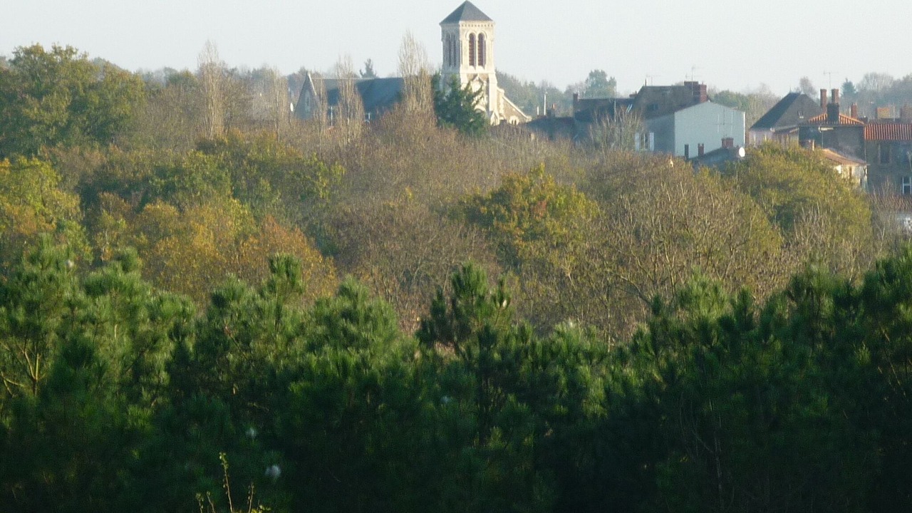 Photo of Others in Saint-Vincent-sur-Graon