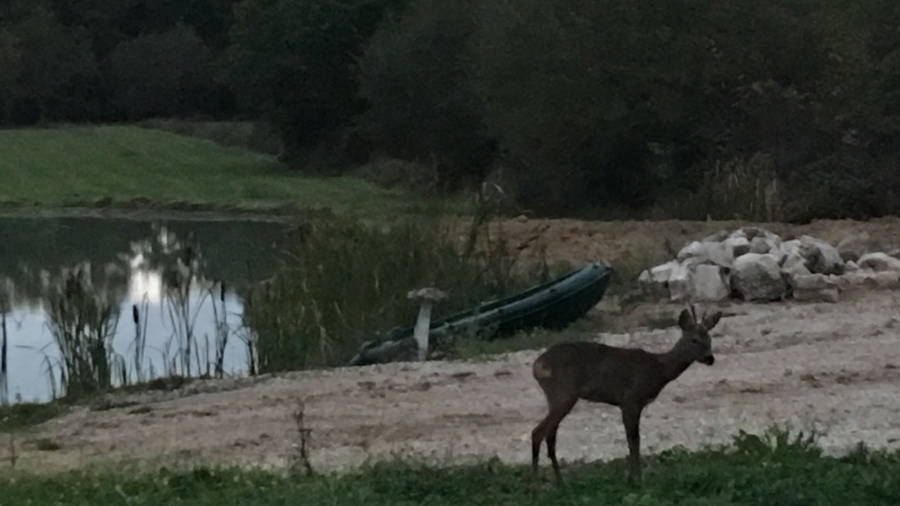 Photo of Outdoor in Jouy-le-Potier