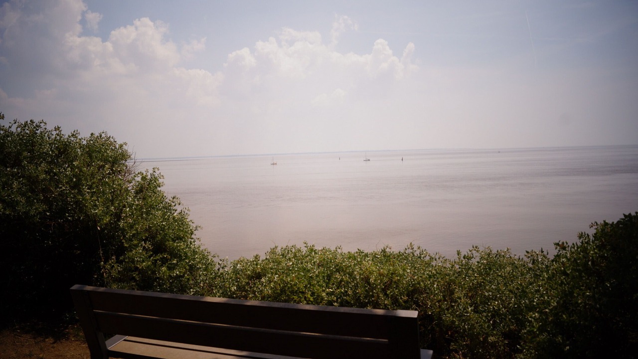 Photo of Others in Saint-Marc-sur-Mer