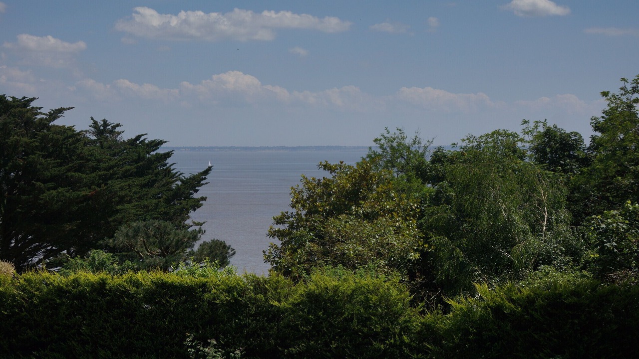 Photo of Outdoor in Saint-Marc-sur-Mer