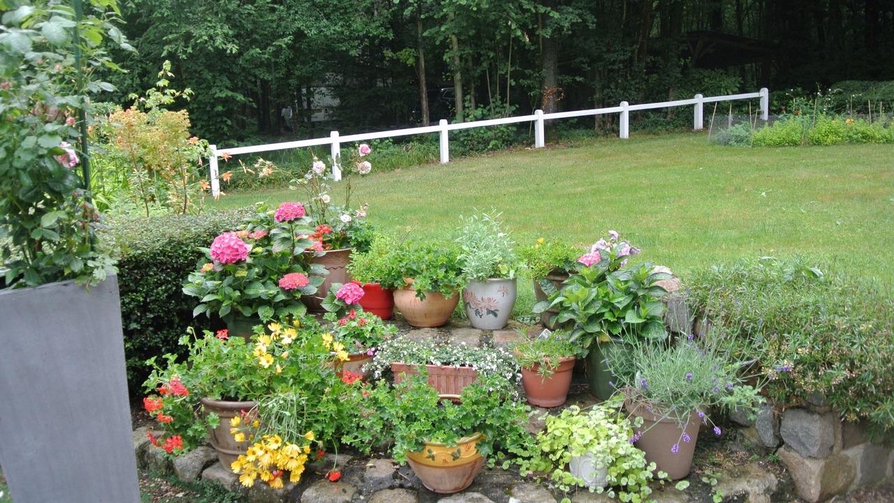 Photo of Outdoor in Morisel