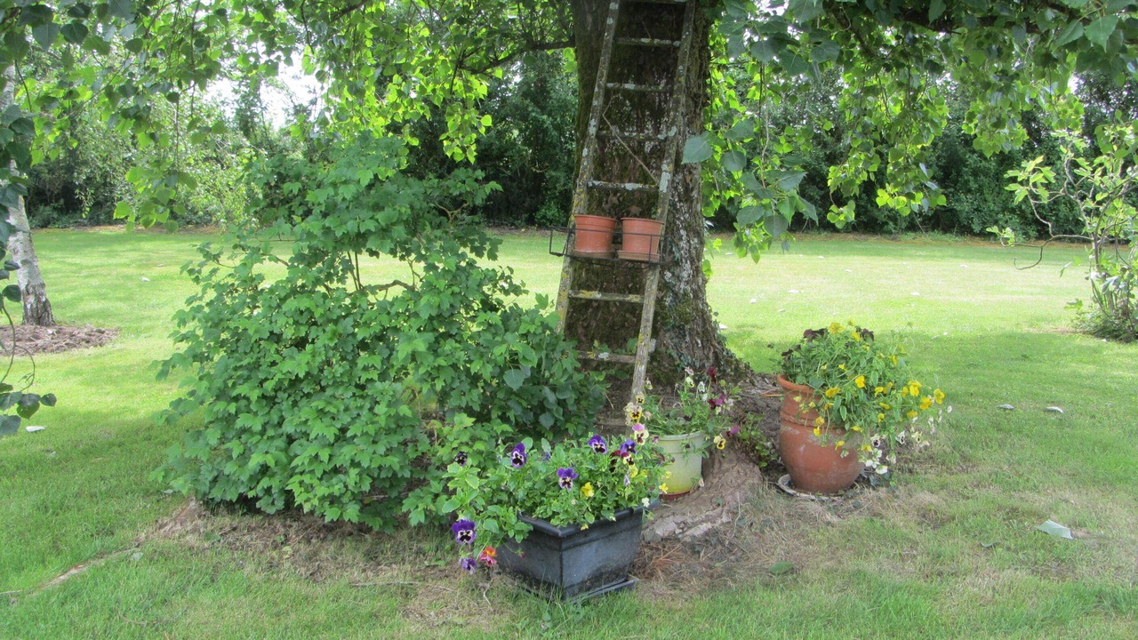 Photo of Outdoor in Trementines