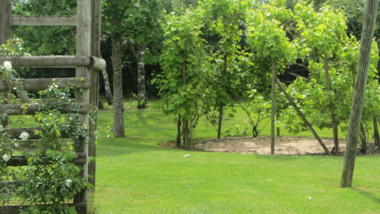 Photo of Outdoor in Trementines