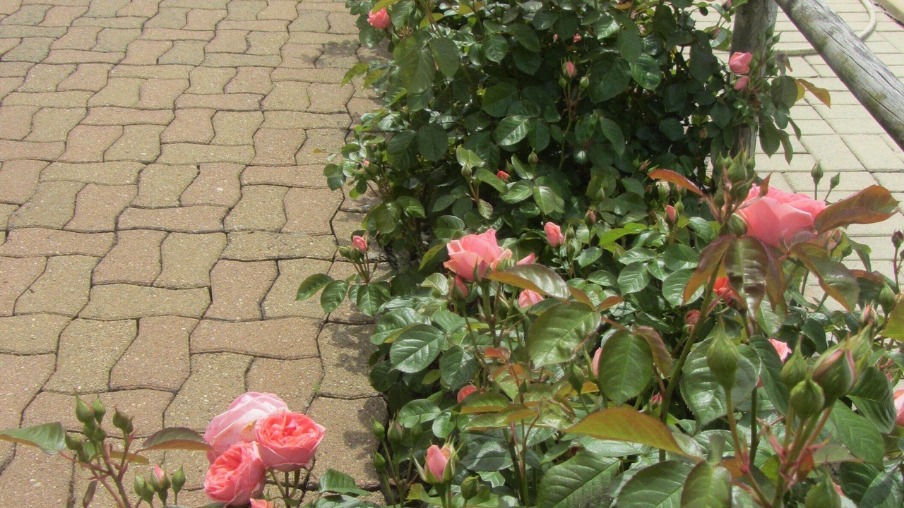 Photo of Outdoor in Trementines