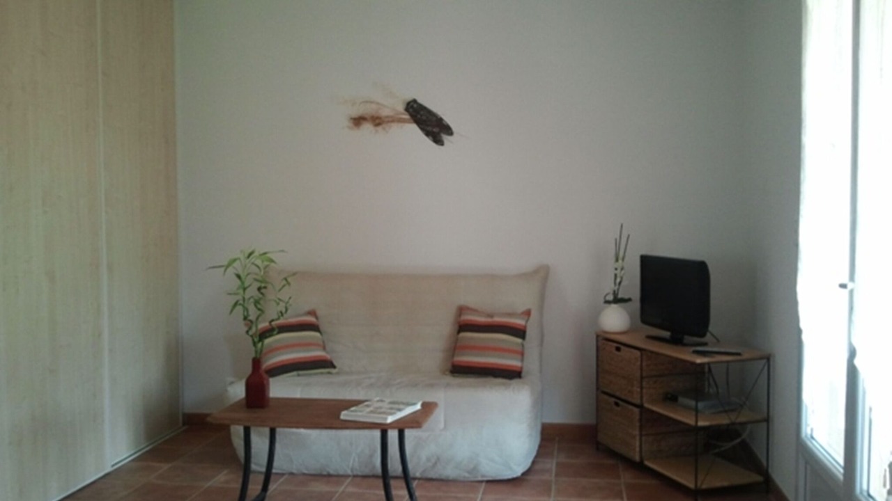 Photo of Livingroom in Gard Rhodanien