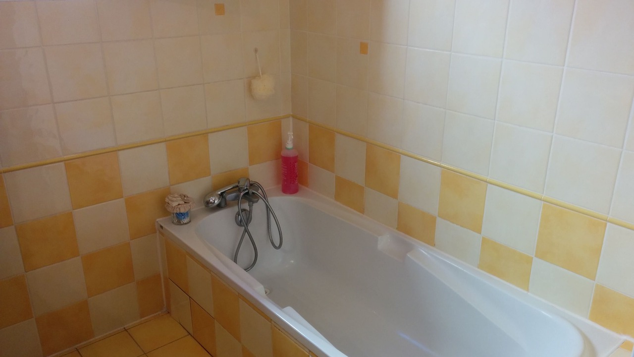 Photo of Bathroom in Mireval