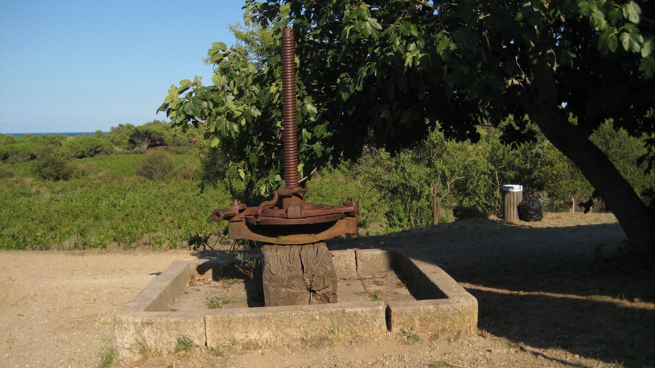 Photo of Outdoor in Narbonne-Plage