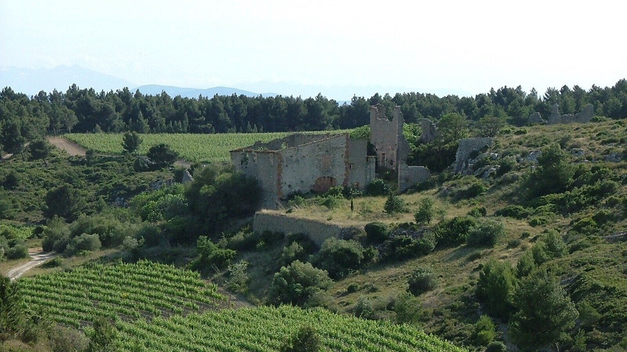 Photo of Outdoor in Narbonne-Plage
