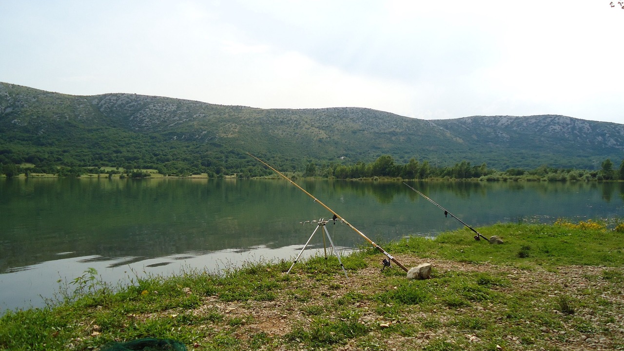 Photo of Outdoor in Drivenik