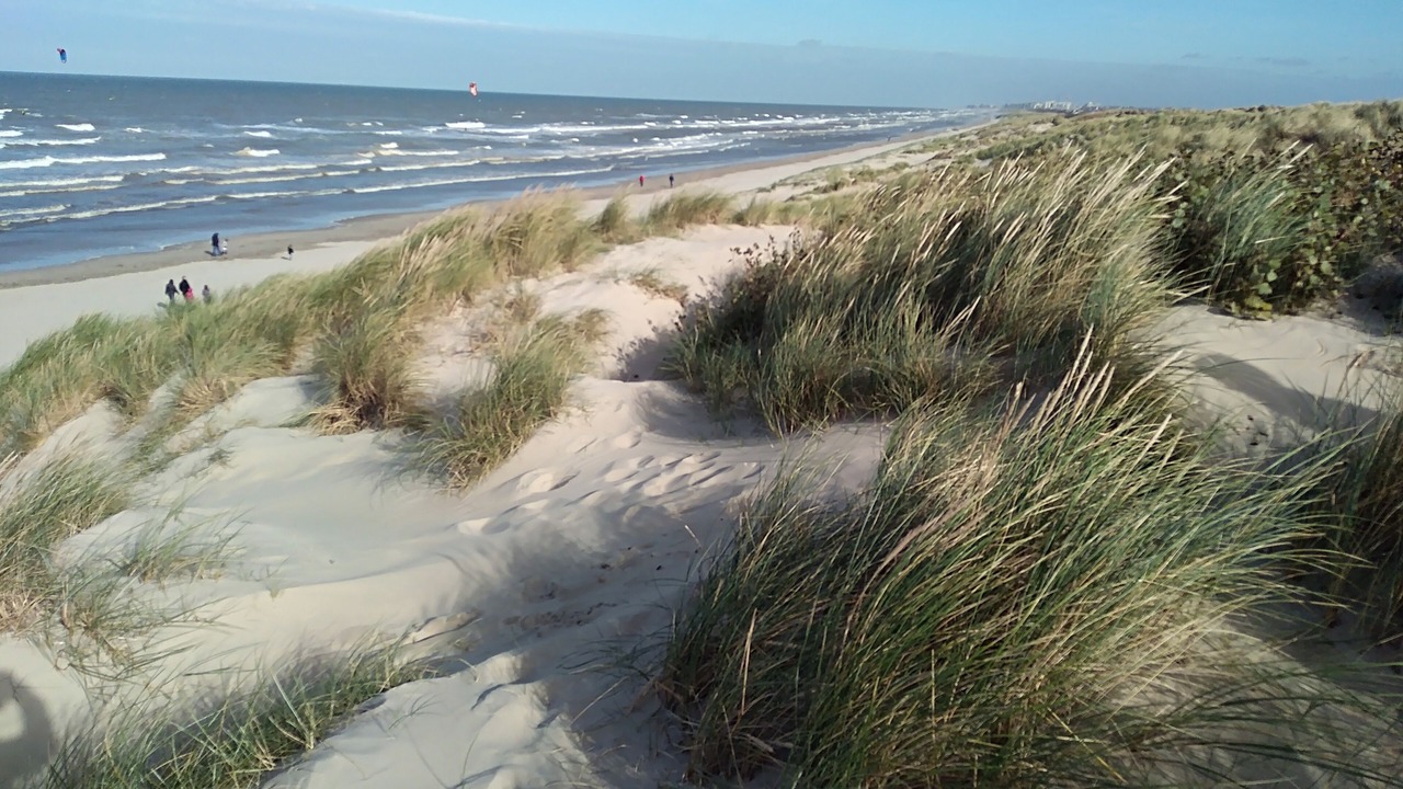 Photo of Others in Bray-Dunes