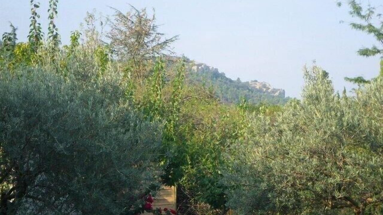 Photo of Outdoor in Mornas