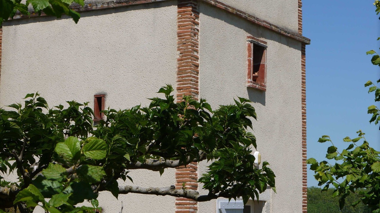 Photo of Outdoor in Pommevic