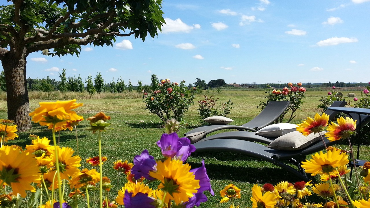 Photo of Outdoor in Pommevic