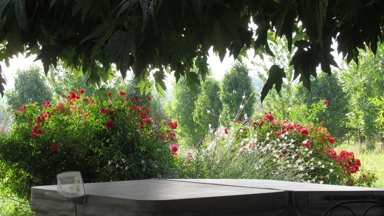 Photo of Outdoor in Pommevic