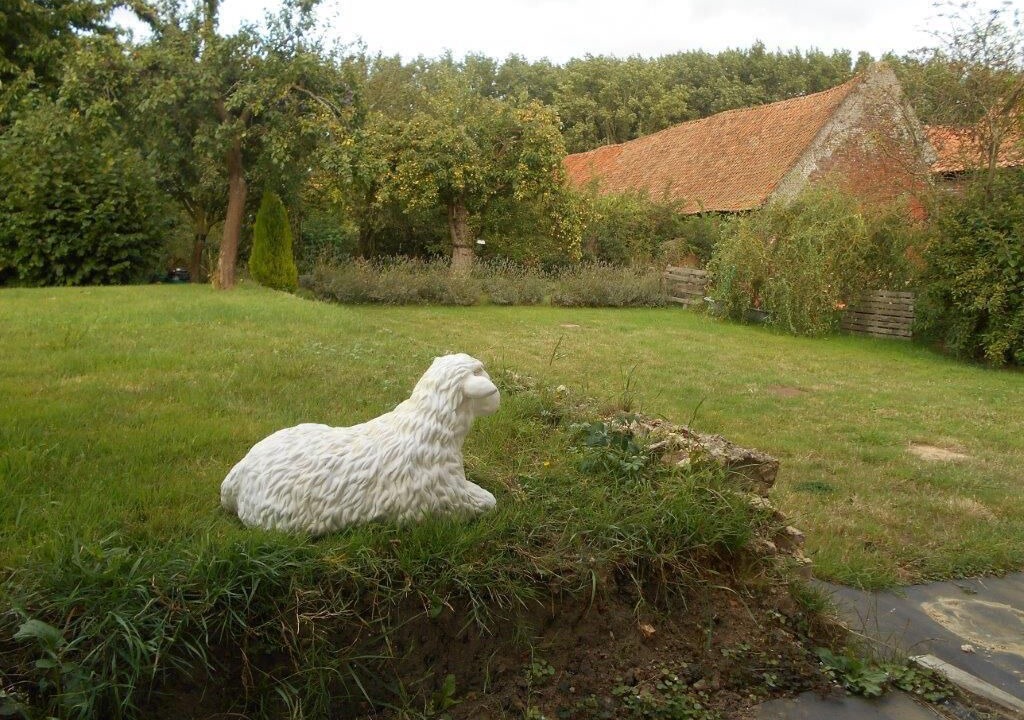 Photo of Outdoor in Clarques