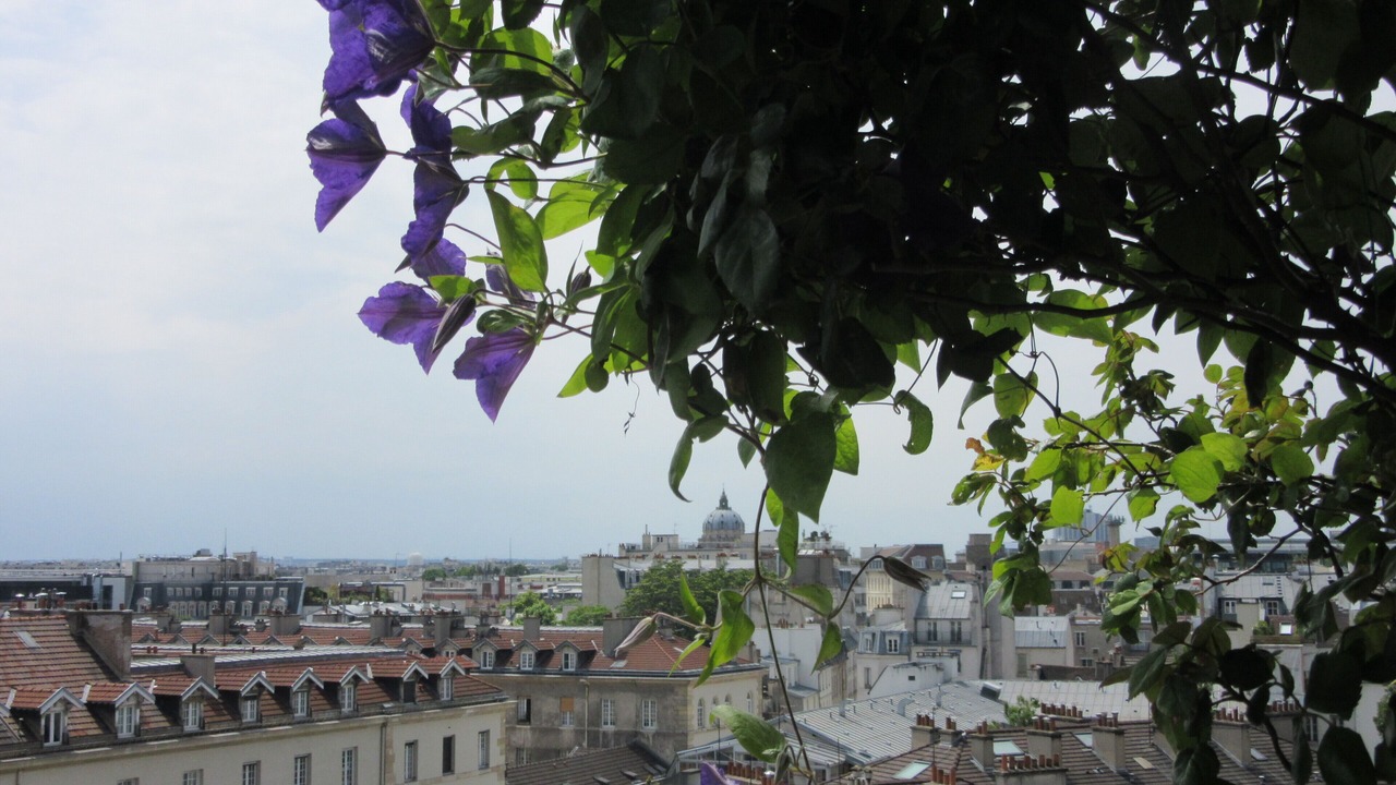 Photo of Outdoor in 5th Arrondissement