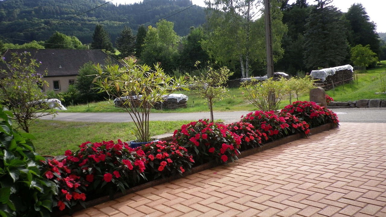 Photo of Outdoor in Steige