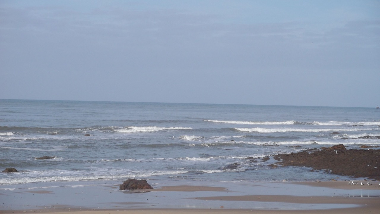 Photo of Others in Jard-sur-Mer