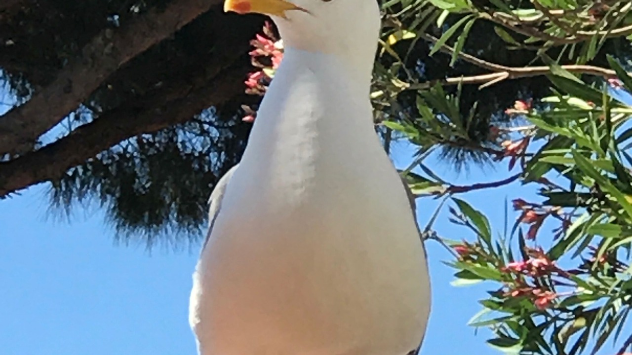 Photo of Outdoor in Canet-Plage